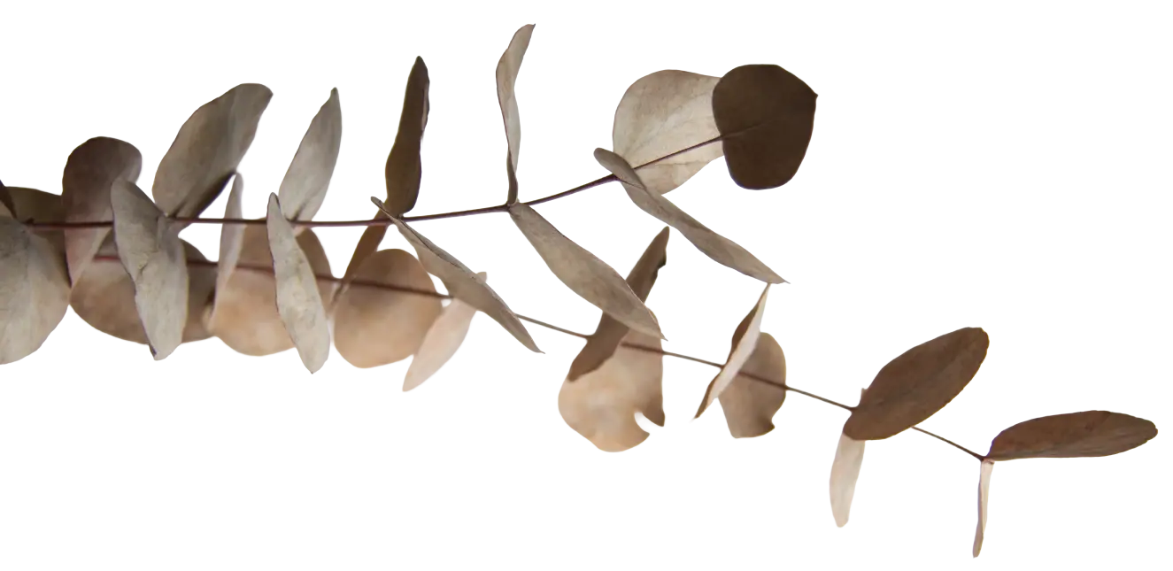 Conscious-Consulting_leaves-02