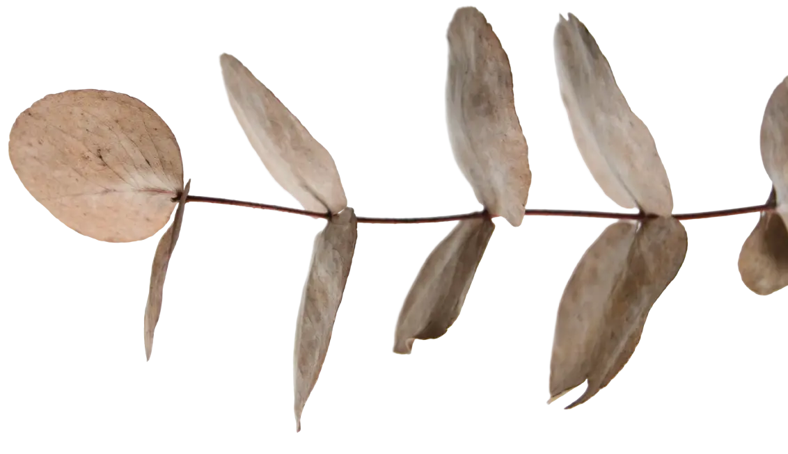 leaves-right leaves-right
